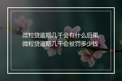 微粒贷逾期几千会有什么后果,微粒贷逾期几千会被罚多少钱