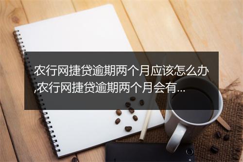 农行网捷贷逾期两个月应该怎么办,农行网捷贷逾期两个月会有什么后果