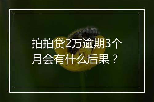 拍拍贷2万逾期3个月会有什么后果？