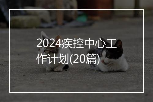 2024疾控中心工作计划(20篇)