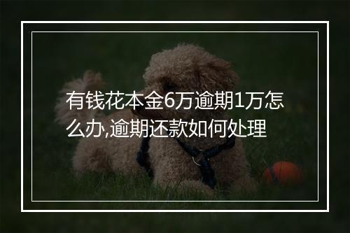 有钱花本金6万逾期1万怎么办,逾期还款如何处理