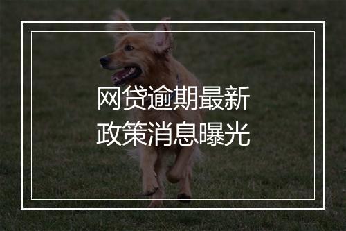 网贷逾期最新政策消息曝光