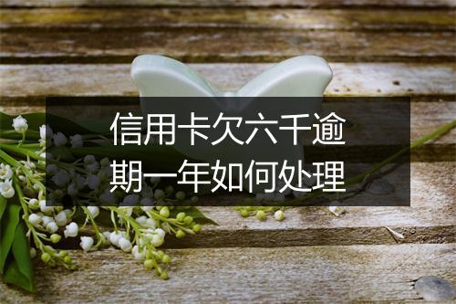 信用卡欠六千逾期一年如何处理