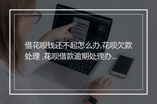 借花呗钱还不起怎么办,花呗欠款处理 ,花呗借款逾期处理办法