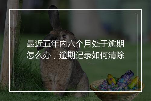 最近五年内六个月处于逾期怎么办，逾期记录如何清除