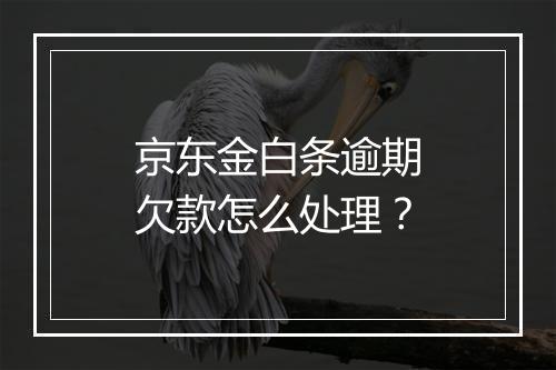 京东金白条逾期欠款怎么处理？