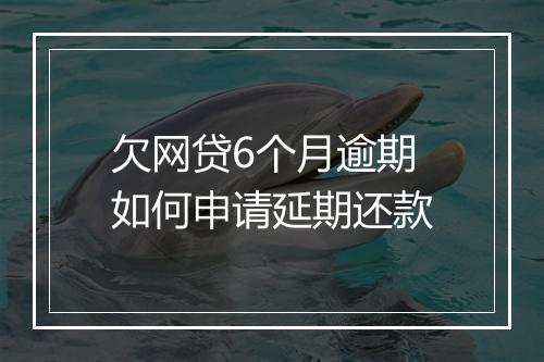 欠网贷6个月逾期如何申请延期还款