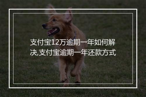 支付宝12万逾期一年如何解决,支付宝逾期一年还款方式