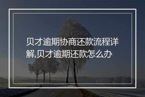 贝才逾期协商还款流程详解,贝才逾期还款怎么办