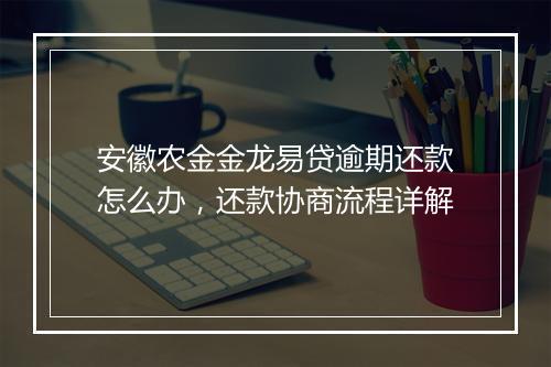 安徽农金金龙易贷逾期还款怎么办，还款协商流程详解