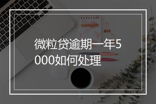 微粒贷逾期一年5000如何处理