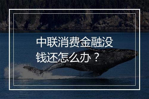中联消费金融没钱还怎么办？