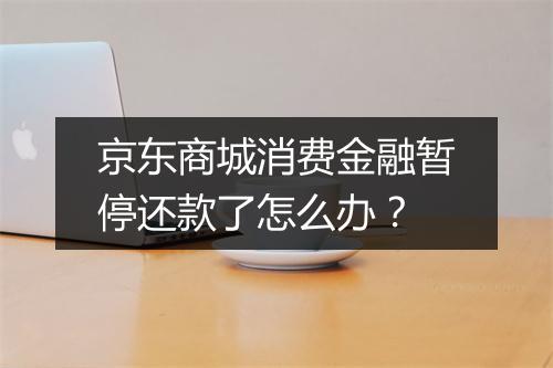 京东商城消费金融暂停还款了怎么办？