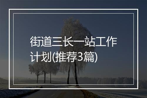 街道三长一站工作计划(推荐3篇)