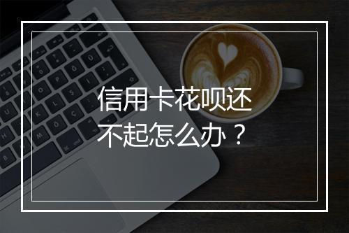 信用卡花呗还不起怎么办？