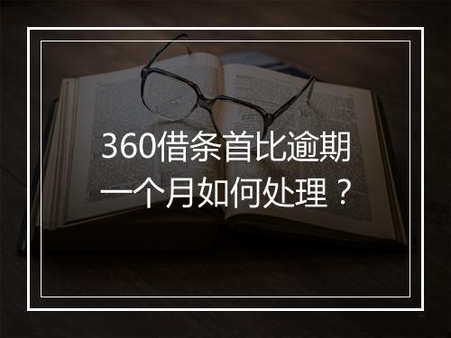360借条首比逾期一个月如何处理？