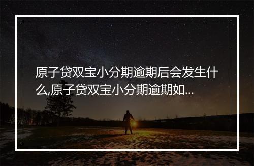 原子贷双宝小分期逾期后会发生什么,原子贷双宝小分期逾期如何处理