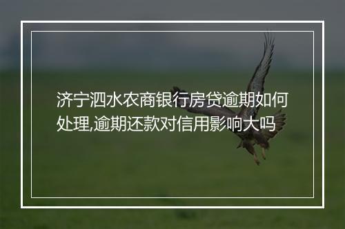 济宁泗水农商银行房贷逾期如何处理,逾期还款对信用影响大吗