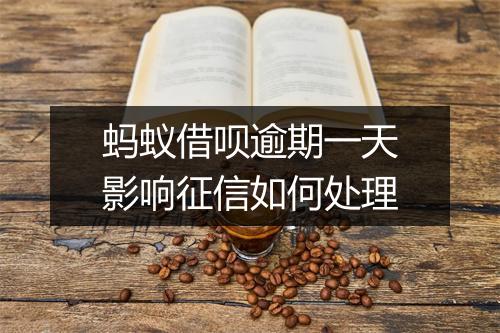 蚂蚁借呗逾期一天影响征信如何处理