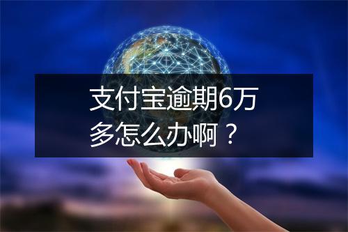 支付宝逾期6万多怎么办啊？
