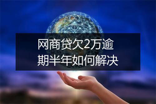 网商贷欠2万逾期半年如何解决