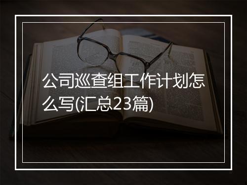 公司巡查组工作计划怎么写(汇总23篇)