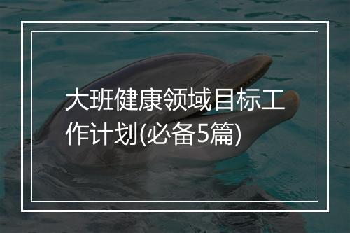 大班健康领域目标工作计划(必备5篇)