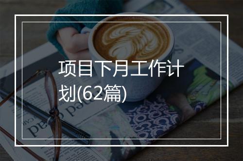 项目下月工作计划(62篇)