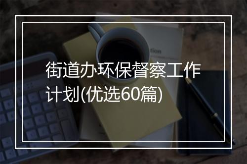 街道办环保督察工作计划(优选60篇)