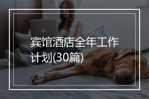 宾馆酒店全年工作计划(30篇)