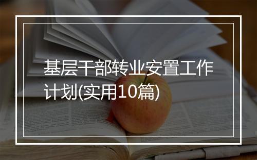 基层干部转业安置工作计划(实用10篇)