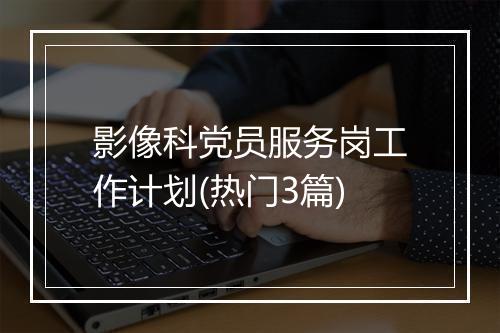 影像科党员服务岗工作计划(热门3篇)