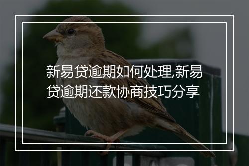 新易贷逾期如何处理,新易贷逾期还款协商技巧分享