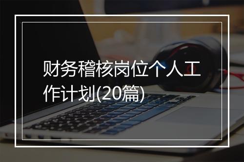 财务稽核岗位个人工作计划(20篇)