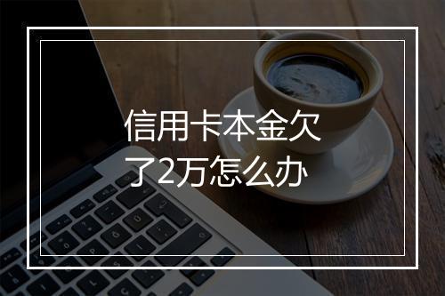信用卡本金欠了2万怎么办
