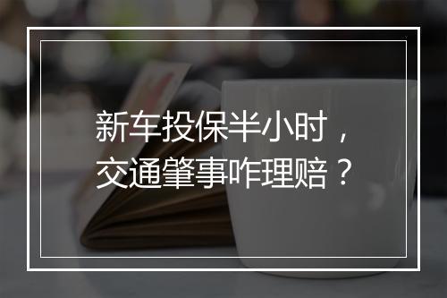 新车投保半小时，交通肇事咋理赔？