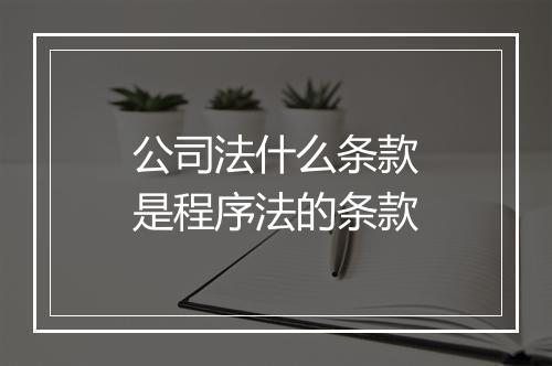 公司法什么条款是程序法的条款