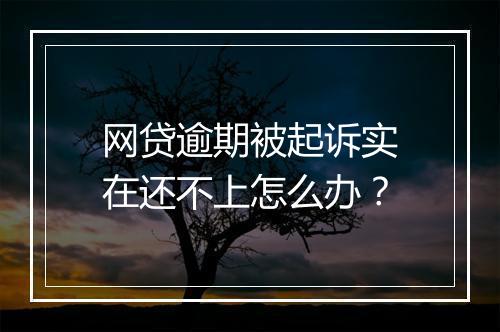 网贷逾期被起诉实在还不上怎么办？