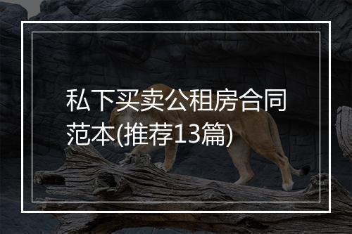 私下买卖公租房合同范本(推荐13篇)