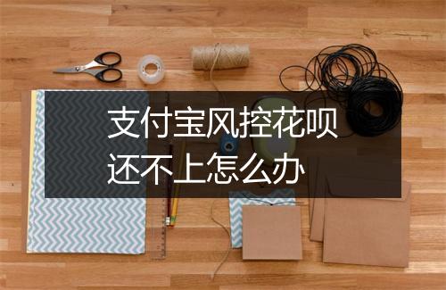 支付宝风控花呗还不上怎么办