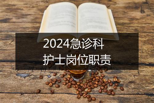 2024急诊科护士岗位职责