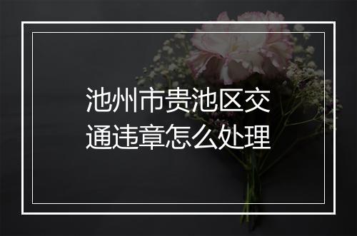池州市贵池区交通违章怎么处理
