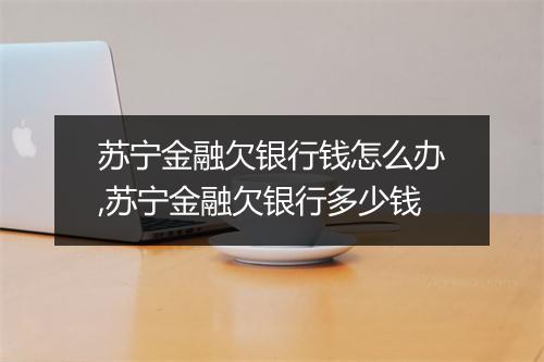苏宁金融欠银行钱怎么办,苏宁金融欠银行多少钱