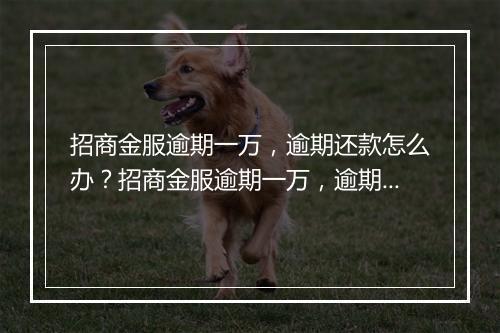 招商金服逾期一万，逾期还款怎么办？招商金服逾期一万，逾期后果严重吗？招商金服逾期一万，逾期利息如何计算？