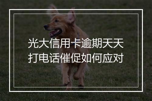 光大信用卡逾期天天打电话催促如何应对
