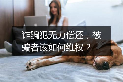 诈骗犯无力偿还，被骗者该如何维权？