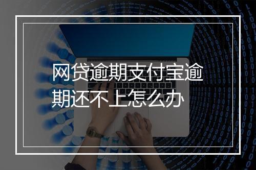网贷逾期支付宝逾期还不上怎么办