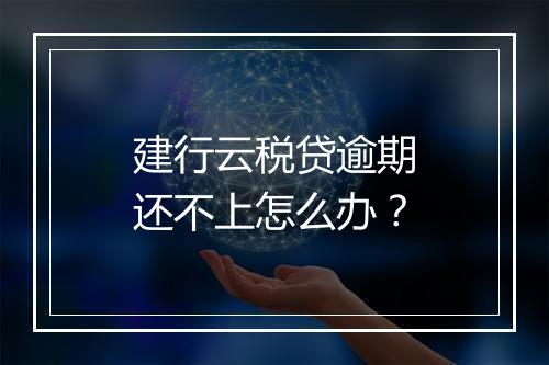 建行云税贷逾期还不上怎么办？