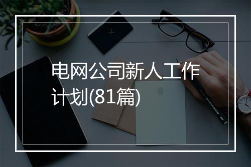 电网公司新人工作计划(81篇)