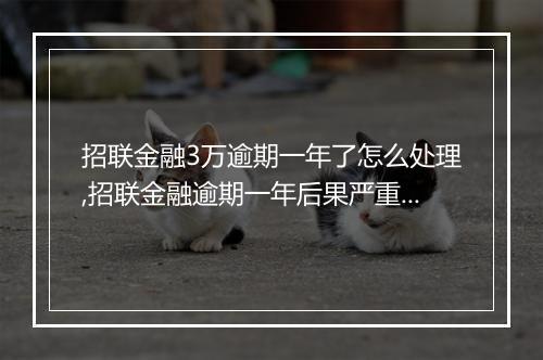 招联金融3万逾期一年了怎么处理,招联金融逾期一年后果严重吗